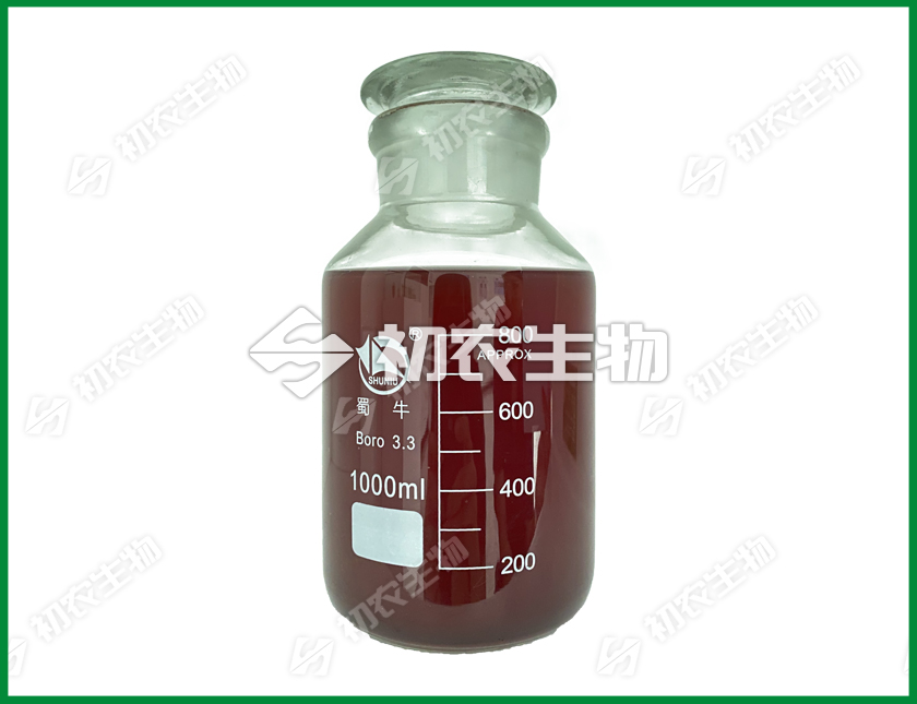 光合細菌（光合細菌類）
