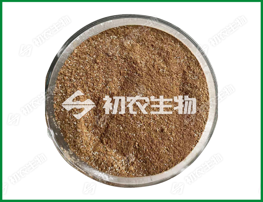 吉林現代化大農業建設：微生物賦能，助力黑土糧倉高質量發展